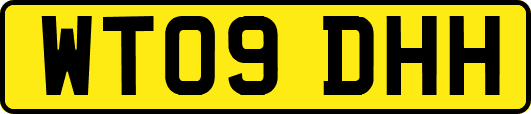 WT09DHH
