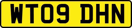 WT09DHN
