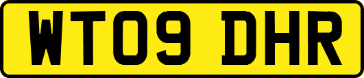WT09DHR
