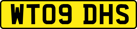 WT09DHS