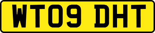WT09DHT