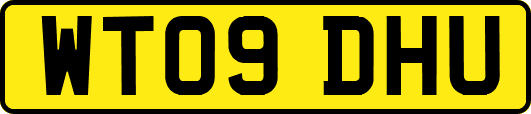 WT09DHU