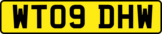 WT09DHW