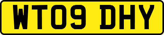 WT09DHY