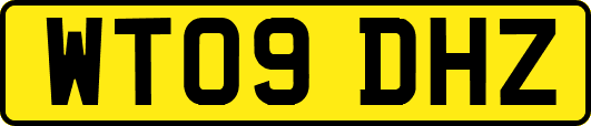 WT09DHZ