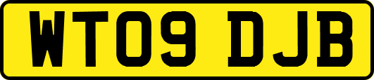 WT09DJB