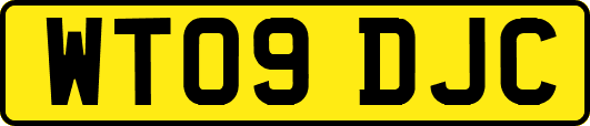 WT09DJC
