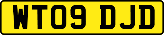WT09DJD