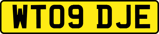WT09DJE
