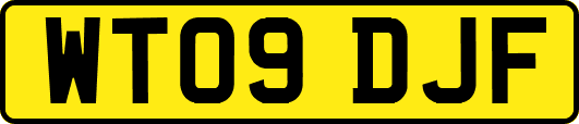 WT09DJF