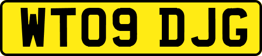 WT09DJG