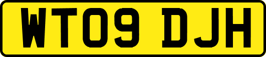 WT09DJH