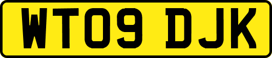 WT09DJK