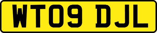 WT09DJL