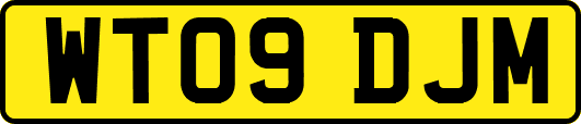 WT09DJM
