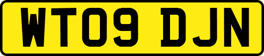WT09DJN