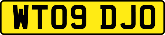 WT09DJO