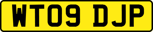 WT09DJP