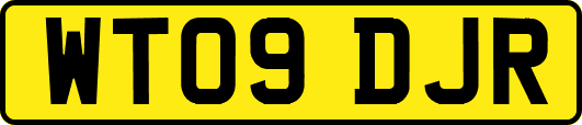 WT09DJR