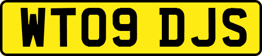 WT09DJS