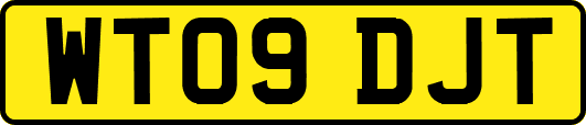 WT09DJT