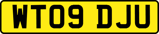 WT09DJU