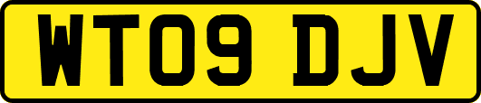 WT09DJV