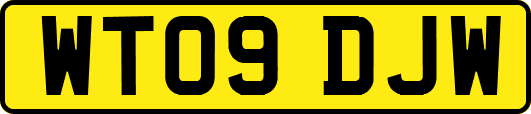 WT09DJW