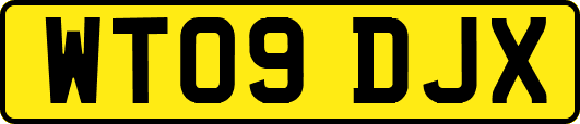 WT09DJX