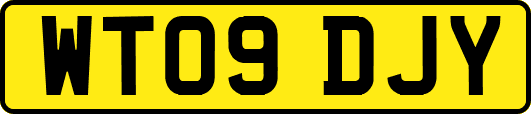 WT09DJY