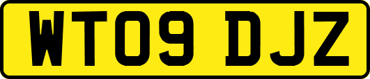 WT09DJZ