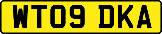 WT09DKA