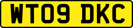 WT09DKC