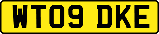 WT09DKE