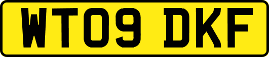 WT09DKF