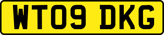 WT09DKG