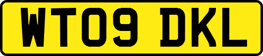 WT09DKL