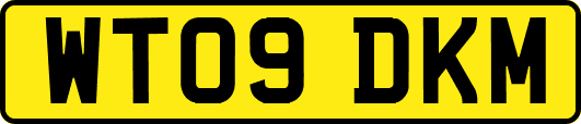 WT09DKM