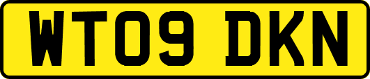 WT09DKN