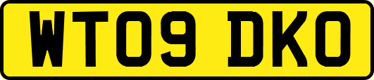 WT09DKO