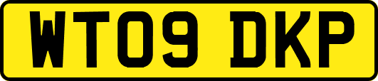 WT09DKP