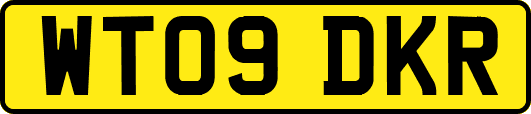 WT09DKR