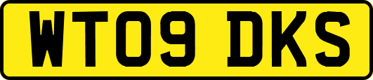 WT09DKS