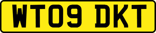 WT09DKT