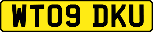 WT09DKU