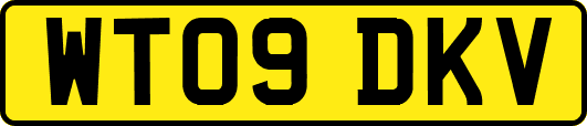 WT09DKV