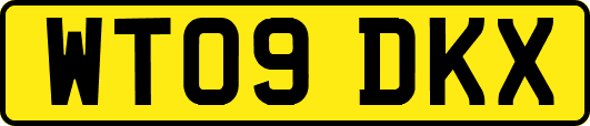 WT09DKX