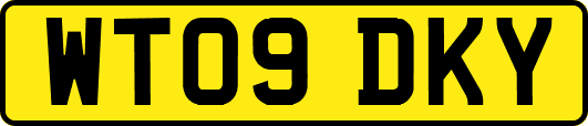 WT09DKY