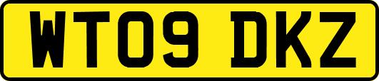WT09DKZ