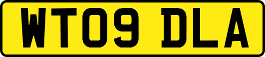 WT09DLA